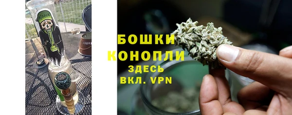 шишки Абинск