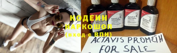 шишки Абинск