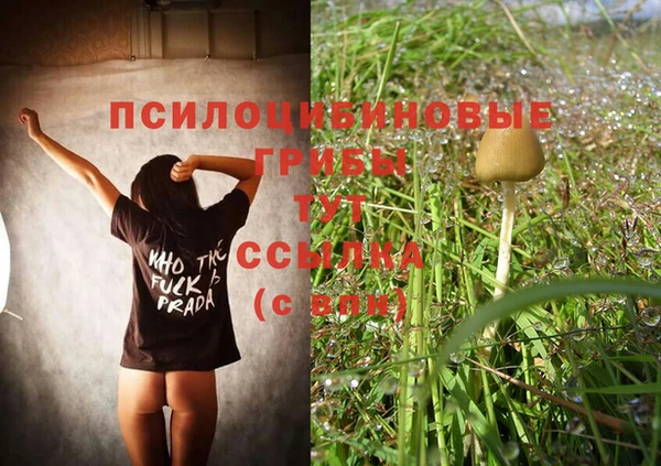 прущие крисы Абаза