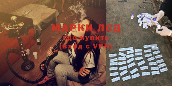 шишки Абинск