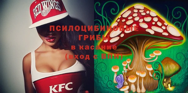 прущие крисы Абаза