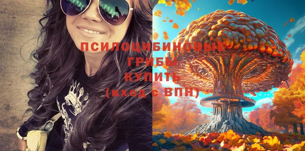 прущие крисы Абаза