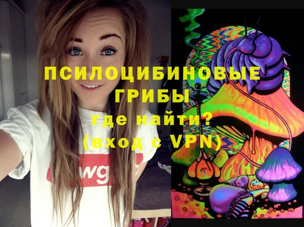 шишки Абинск